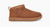 Classic Ultra Mini Boot - Chestnut