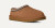M Tasman II-Chestnut