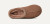M Tasman II-Rocky Oak