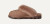 Coquette-Rocky Oak