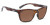 Woody Sport Shiny Tort - Copper Lens