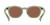 Wrights Shiny Crystal Olive - Copper Lens