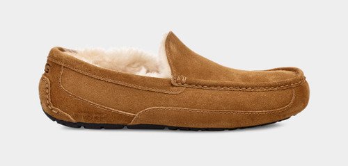 NEW UGG Ascot slipper UGG Men main image 2