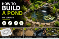 How to build a pond: The complete DIY guide
