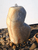 Marble  Water Feature KIT
