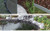 Pond Edge
