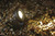 LunAqua Power LED SET 1 Light