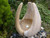 Babbling Lily Water Feature