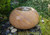 RAINBOW SANDSTONE BABBLING URN KIT