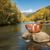 Oase Copper Bowl with narrow spillway Oase Copper Bowl with narrow spillway