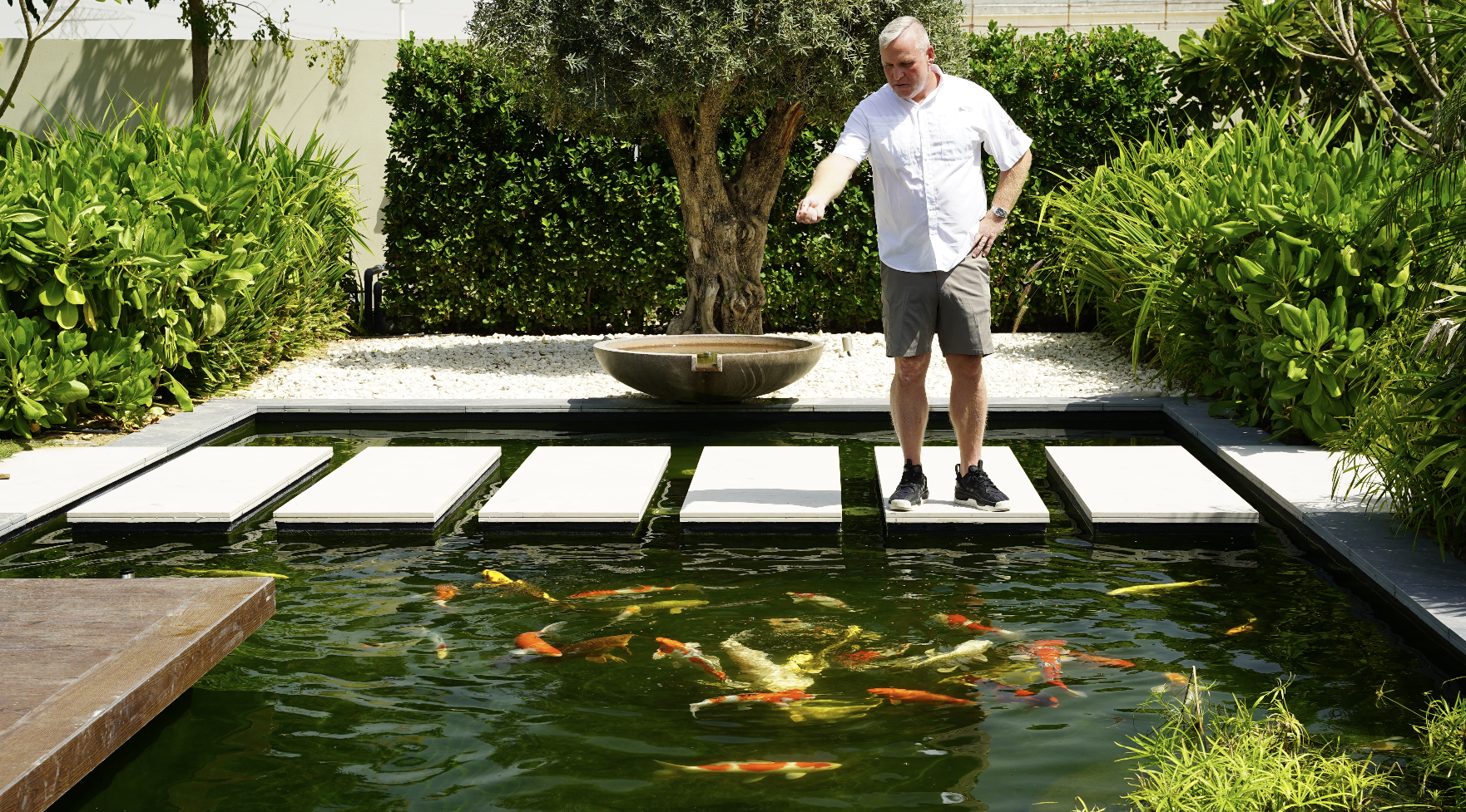 clean clear water koi carp pond