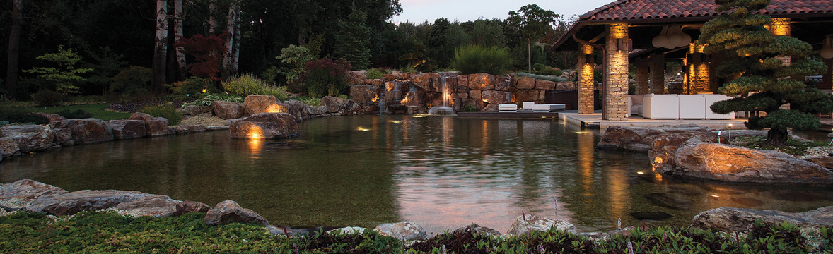 koi pond ireland