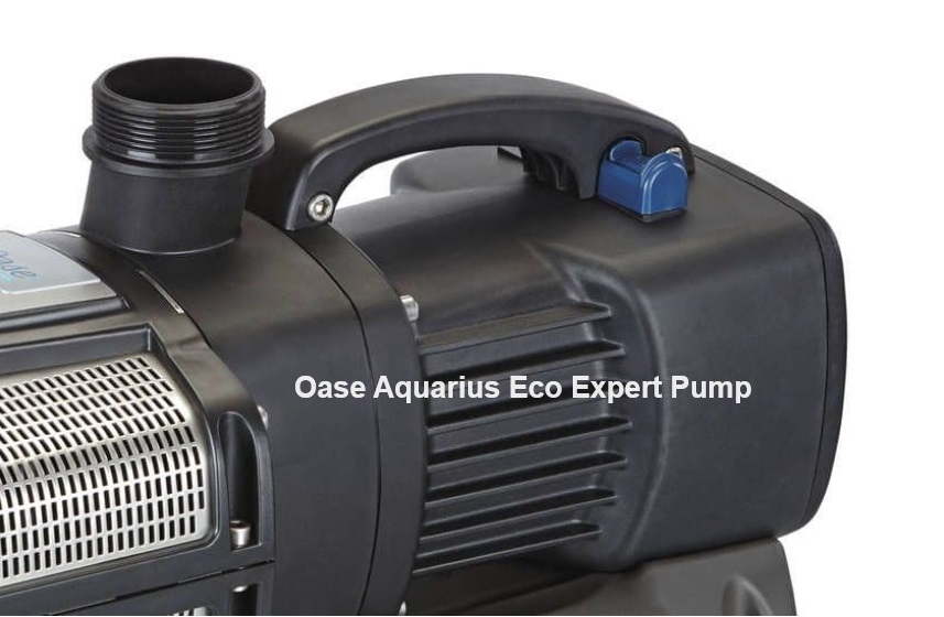 eco expert pump