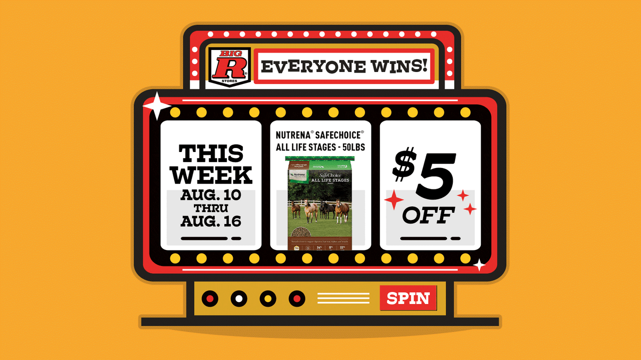 Click here for Big R's Deal of the Week: $5 off Nutrena SafeChoice All Life Stages 50lbs, Aug. 10–16.