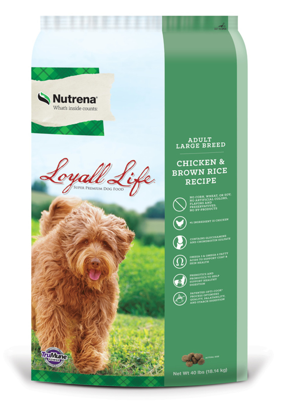 Loyall large breed sales puppy food