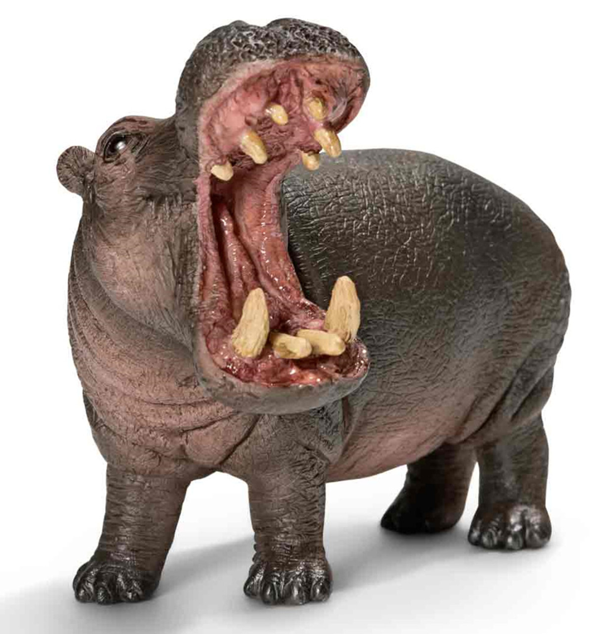 Figurine hippopotame - Papo
