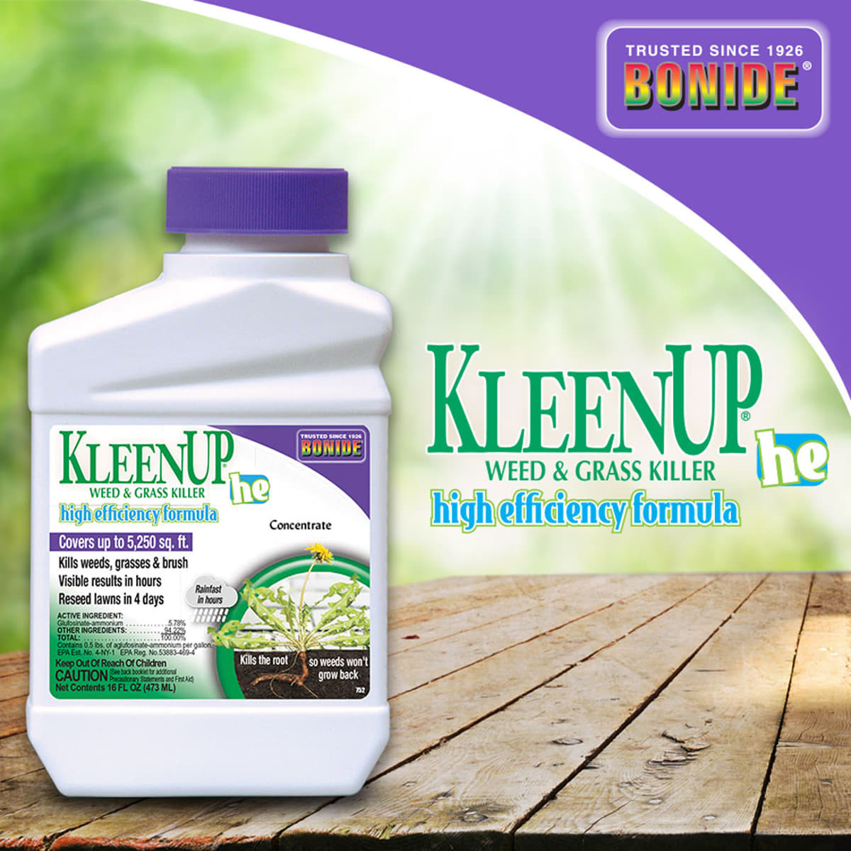 Bonide KleenUp High Efficiency Weed & Grass Killer Concentrate