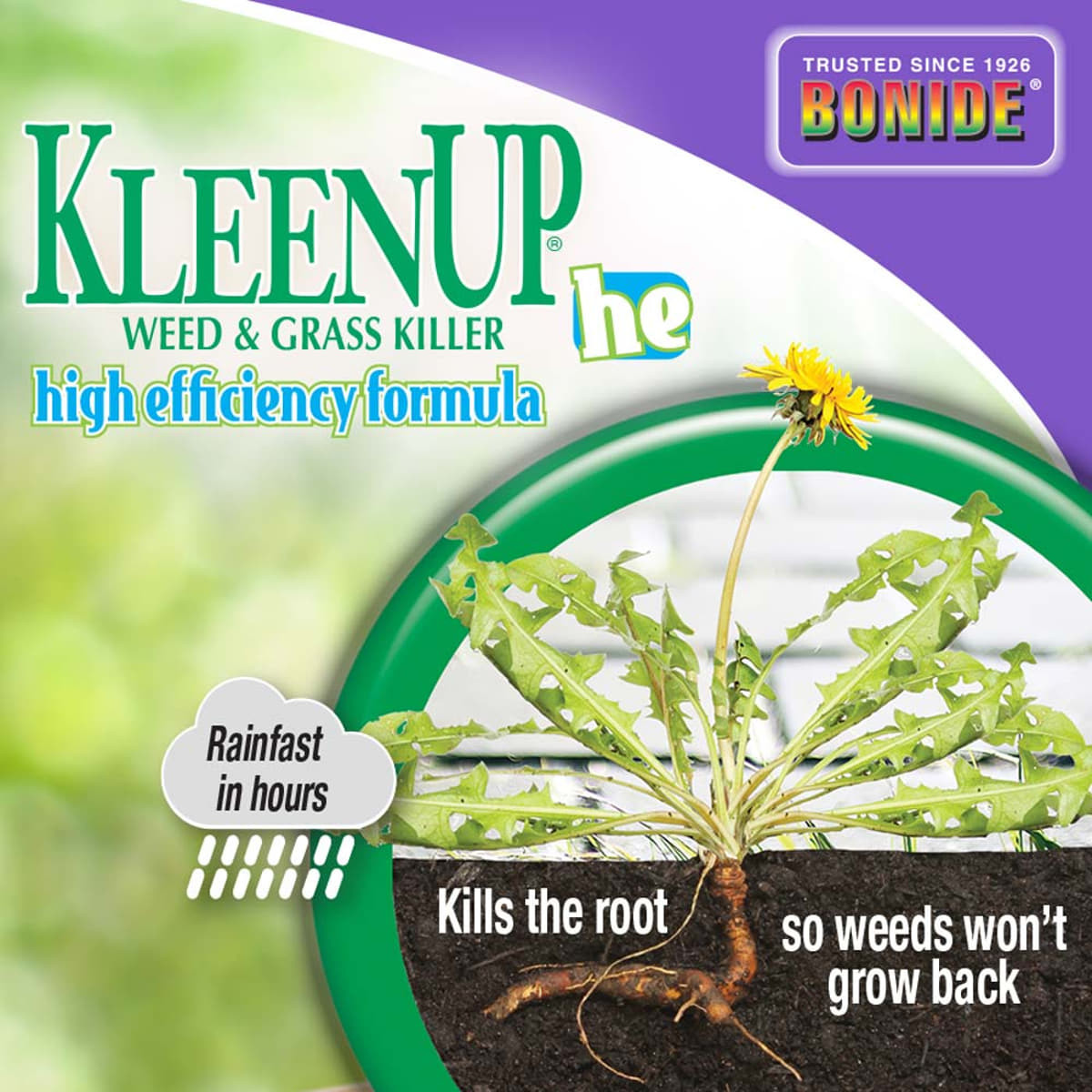 Bonide KleenUp High Efficiency Weed & Grass Killer Concentrate