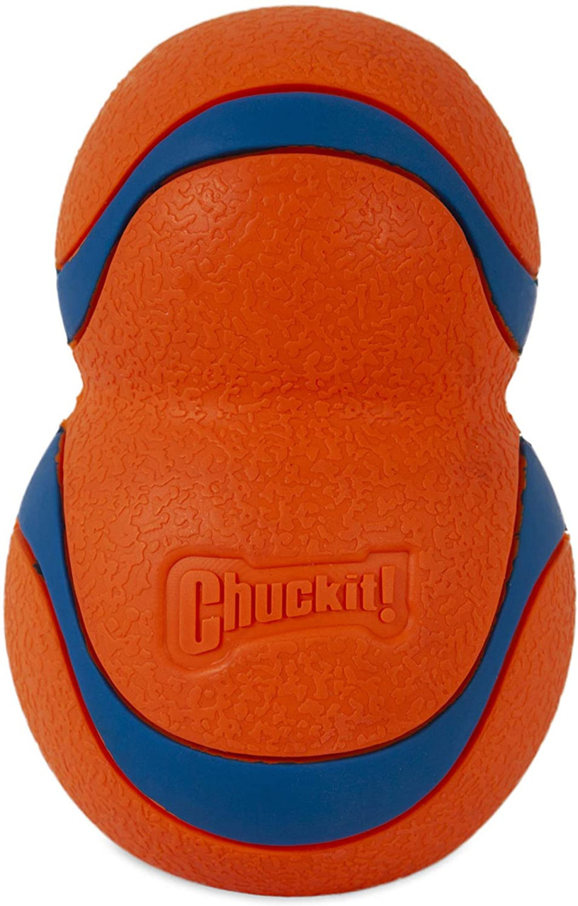 Chuckit! Bucket with Ultra Ball Dog Toy, Medium