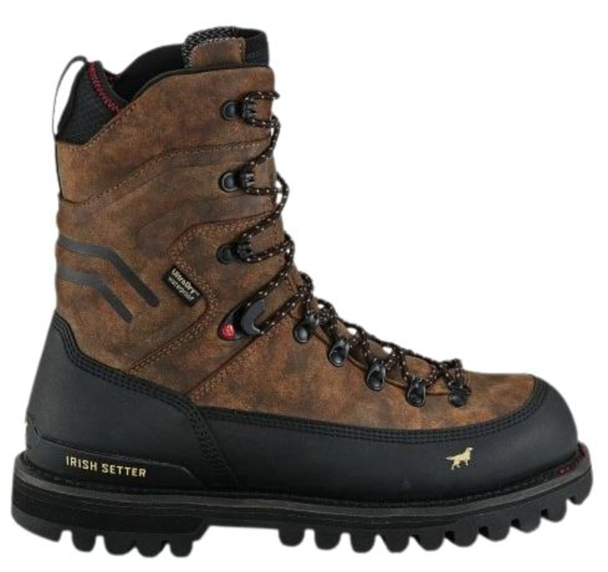 Irish Setter 10\