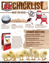 Spring Chick List - keeping your flock happy & healthy