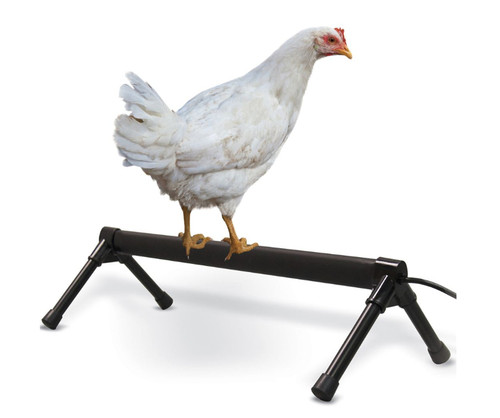 K&H Pet - THERMO-CHICKEN PERCH - 36 INCH