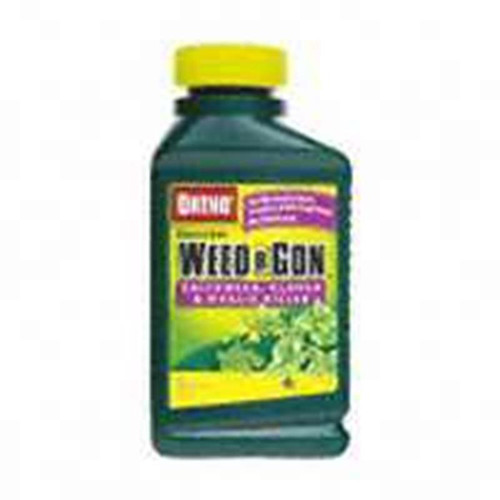 Ortho  Weed B Gon Chickweed 16 oz.