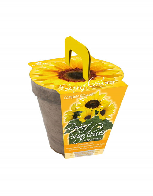 TOTALGREEN HOLLAND Sunflower Kit