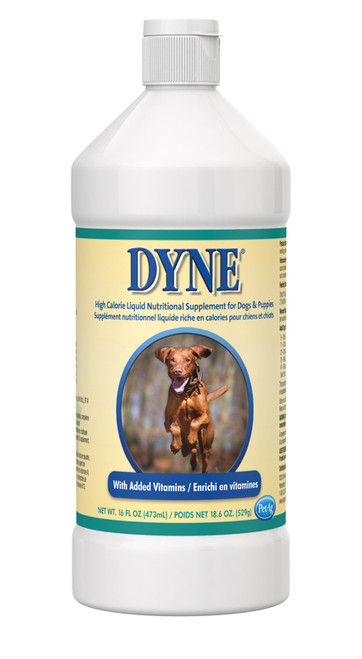 PetAg Dyne High Calorie Liquid Dog Supplement - 16 oz.
