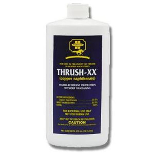 Farnam 16-Ounce Thrush-XX Water Resistant Thrush Treatment Aid
