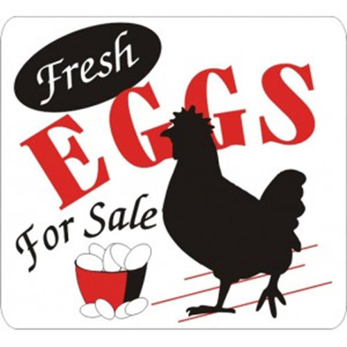 Ozark Leather - Fresh Eggs For Sale 