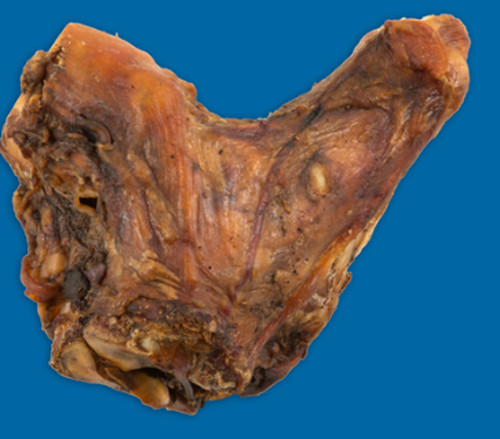 Butchers Block The Hockster 