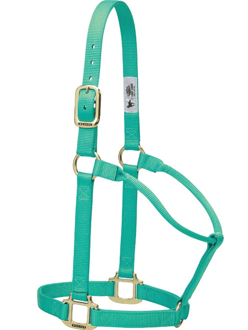 Weaver Leather- Original Non-Adjustable Halter 1" Small Horse or Weanling Draft Emerald