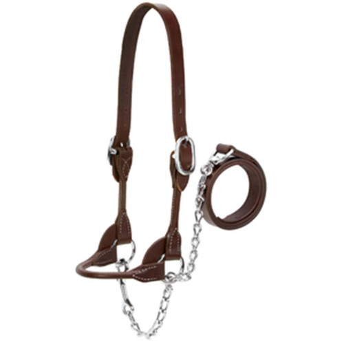 Weaver Leather -  Dairy Beef Rounded Show Halter, Brown, Large