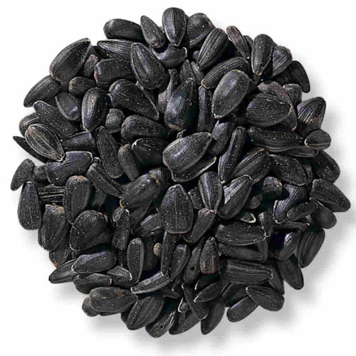 Wild Delight Black Oil Sunflower Seed - 40 lb.