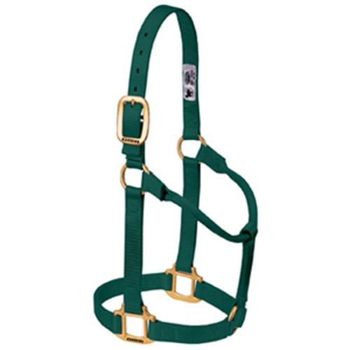 Weaver Leather -  Original Non-Adjustable Halter, Hunter Green, 1 inch Average Horse or Yearling Draft