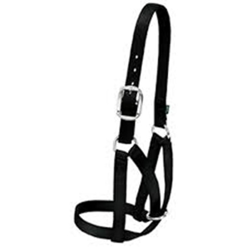 Weaver Leather -  Barn Cow Halter, Black, 1 inch Small