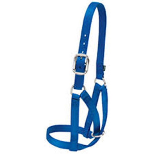 Weaver Leather -  Barn Cow Halter, Blue, 1 inch Small 