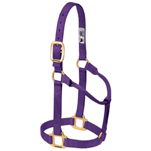 Weaver Leather -  Original Non-Adjustable Halter, Purple, 1 inch Large Horse or 2-Year-Old Draft 