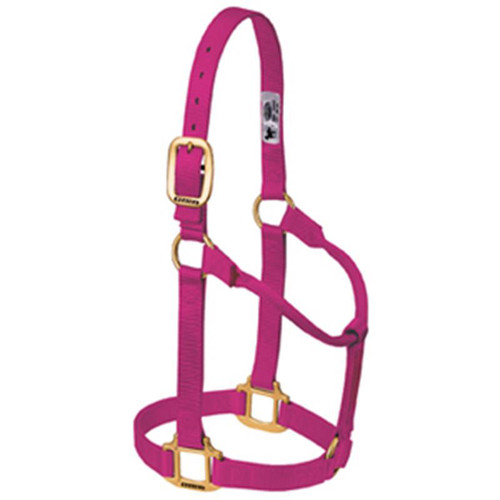 Weaver Leather -  Original Non-Adjustable Halter, Raspberry, 1 inch Average Horse or Yearling Draft