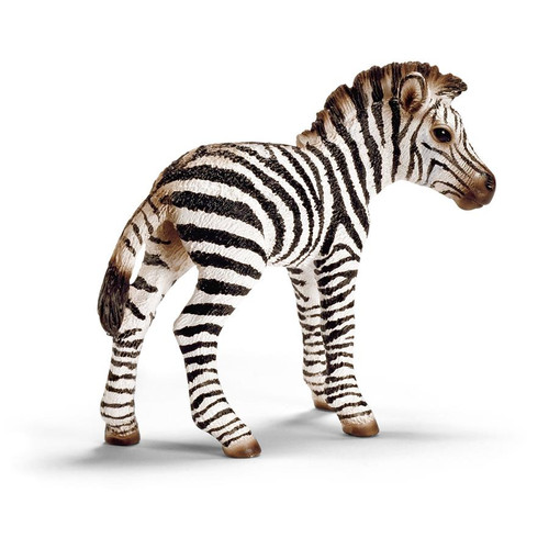 Schleich- Zebra Foal