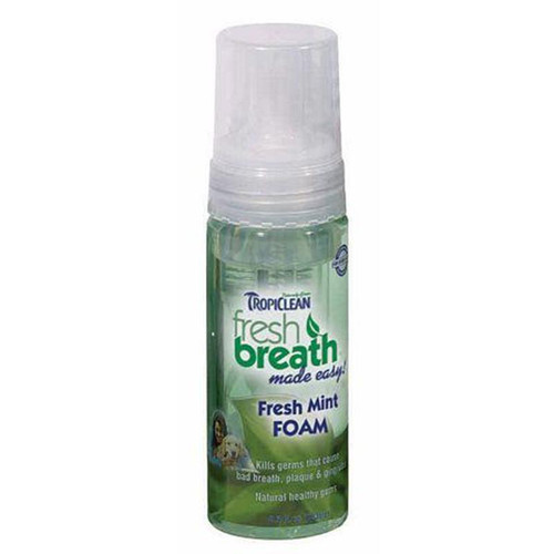 Freshbreath - Mint Foam