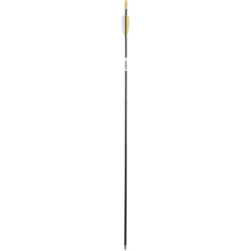 Maurice - Cedar-Glass Arrow 28 Inch