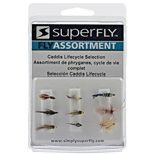 Maurice- Fly Caddis Lifecycle Assortment- Assorted Sizes
