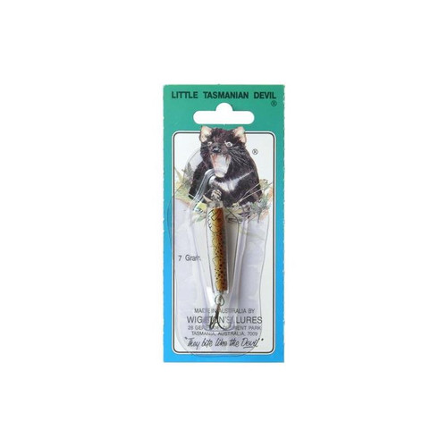 Little Tasmanian Devil Brown Trout