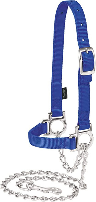 Weaver Leather Nylon Adjustable Sheep Halter with Chain Lead, Blue