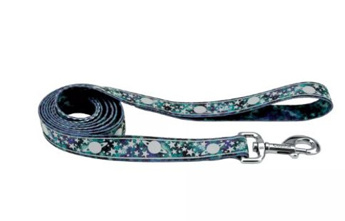 Coastal LazerBrite Patterned Leash Galaxy