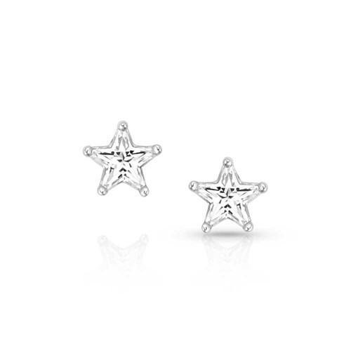 Montana Silversmiths North Star Crystal Post Earrings