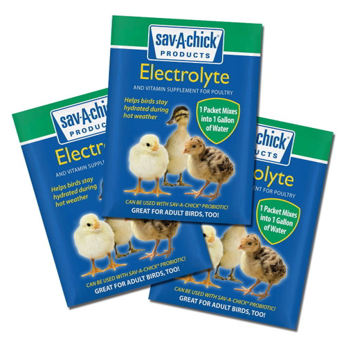 SAV-A-CHICK Electrolytes and Vitamin Supplement - 3 Pack