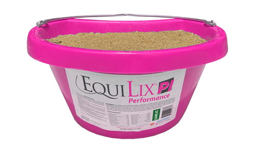 EquiLix Perfomance Hanging Lick Tub